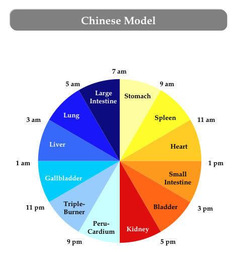 Chinese Health Chart